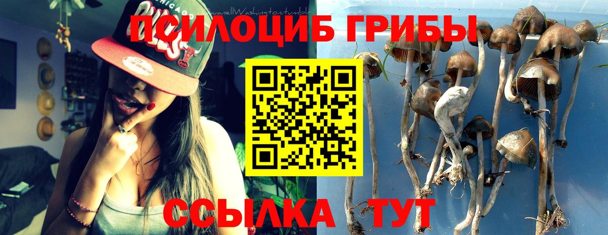 Галлюциногенные грибы Cubensis Артёмовский